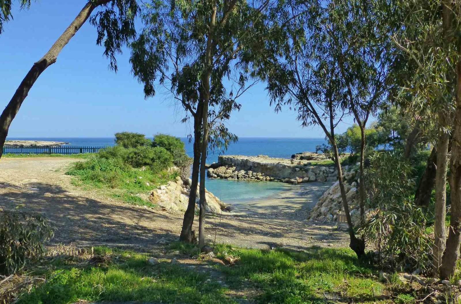 Calypso - Coralli Beachfront Apartment Protaras Dış mekan fotoğraf